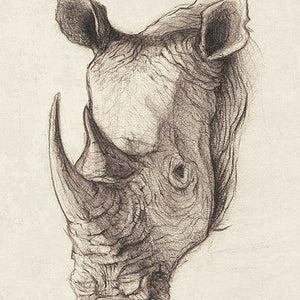 See yourself Rhinoceros.