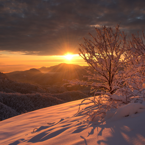 A dream winter morning